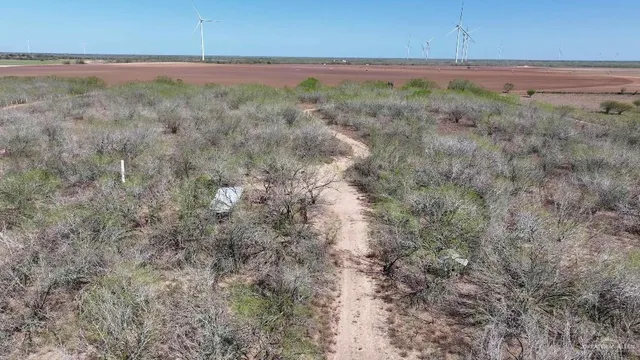 a view of a dry yard with trees
