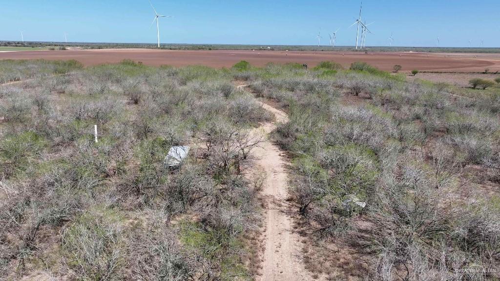 29101 Mile 17 1/2 Road Edinburg, TX 78541 - Photo 33 of 43 a view of a yard with an outdoor space