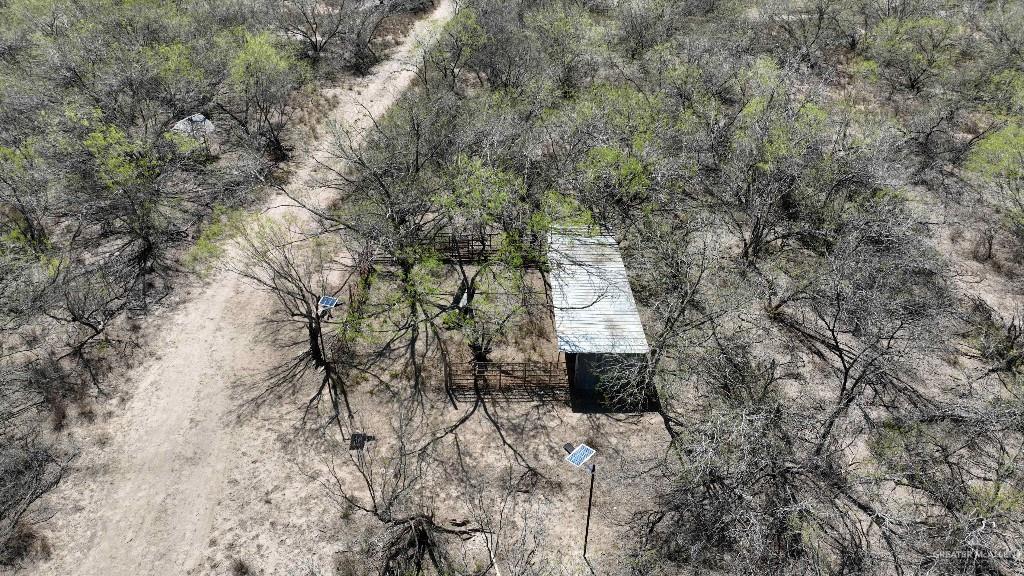 29101 Mile 17 1/2 Road Edinburg, TX 78541 - Photo 34 of 43 a view of a dry yard with trees