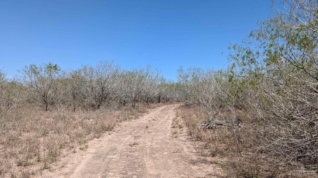 29101 Mile 17 1/2 Road Edinburg, TX 78541 - Photo 40 of 43 a view of a dry yard with trees in the background