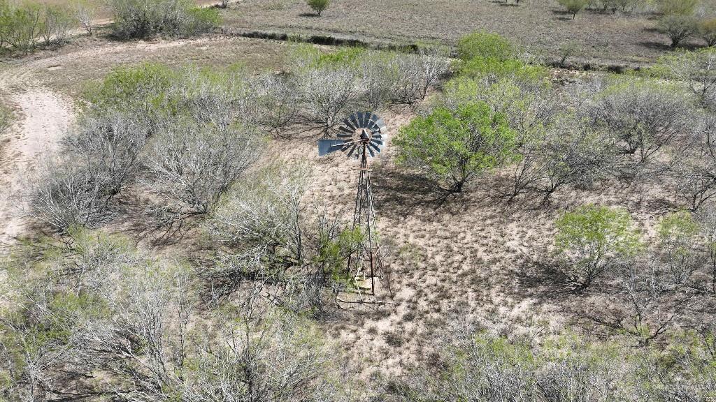 29101 Mile 17 1/2 Road Edinburg, TX 78541 - Photo 41 of 43 a view of a yard with a tree