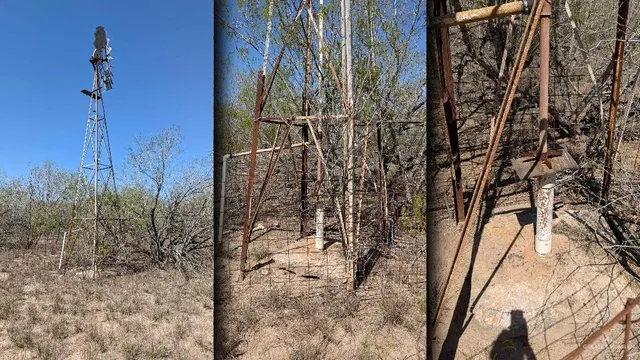a view of a dry yard with trees in the background