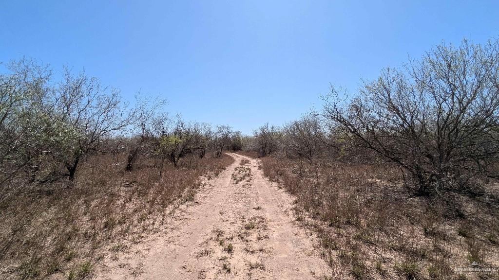 29101 Mile 17 1/2 Road Edinburg, TX 78541 - Photo 43 of 43 a view of a dry yard with trees in the background