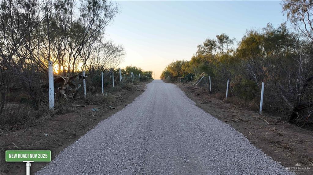 29101 Mile 17 1/2 Road Edinburg, TX 78541 - Photo 5 of 43 a view of a road with trees in the background