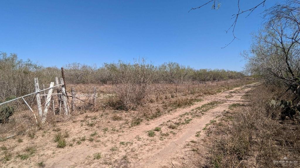 29101 Mile 17 1/2 Road Edinburg, TX 78541 - Photo 10 of 43 a view of a dry yard with trees