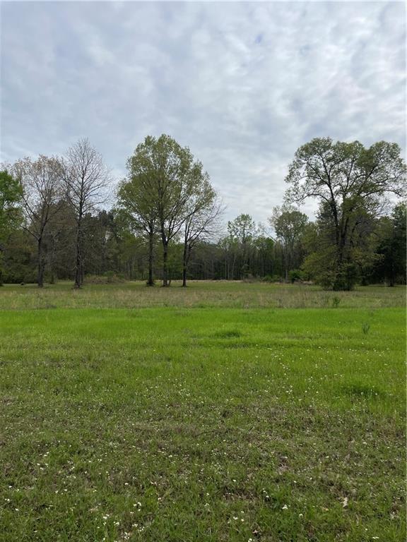 B Smetak Road Deville, LA 71328 - Photo 2 of 4