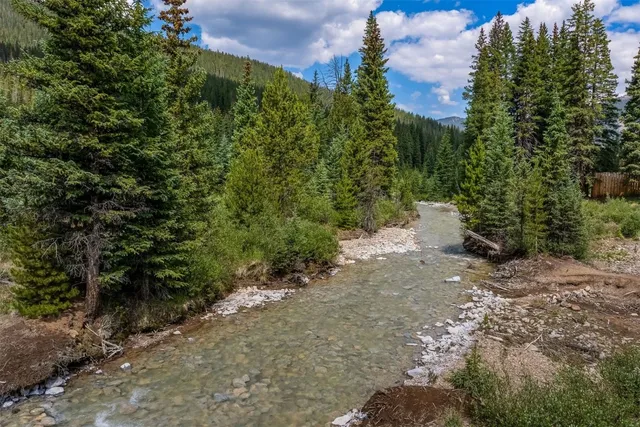 a view of a road with plants and trees