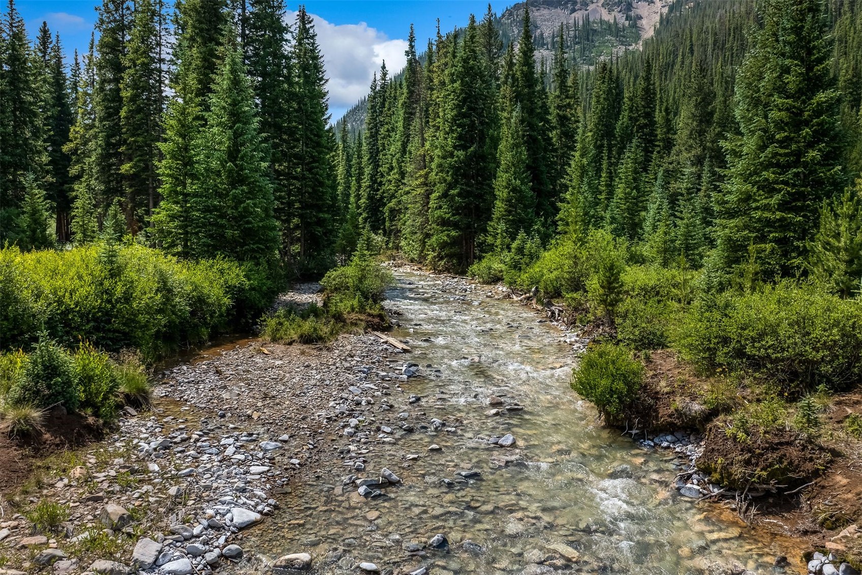 5400 Montezuma Road Montezuma, CO 80435 - Photo 18 of 30 a big yard with lots of green space