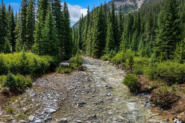 a big yard with lots of green space