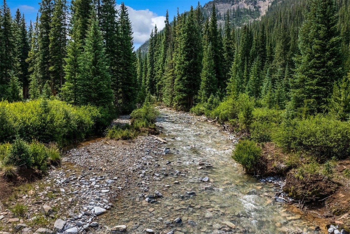 5400 Montezuma Road Montezuma, CO 80435 - Photo 19 of 31 a big yard with lots of green space