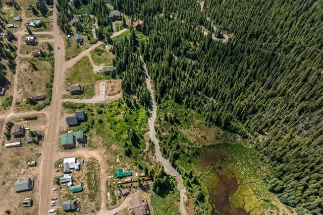 view of a tree in a garden