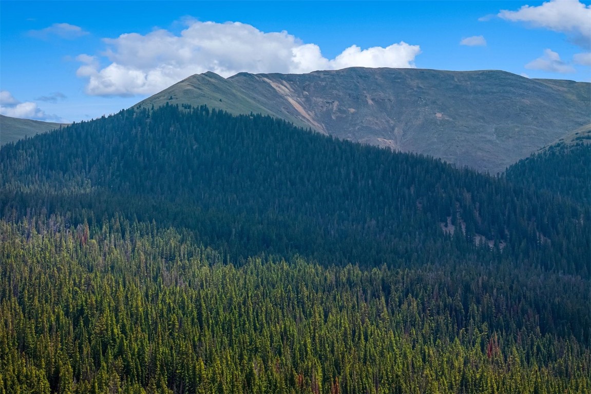 5400 Montezuma Road Montezuma, CO 80435 - Photo 30 of 31 a view of a lush green hillside and a yard