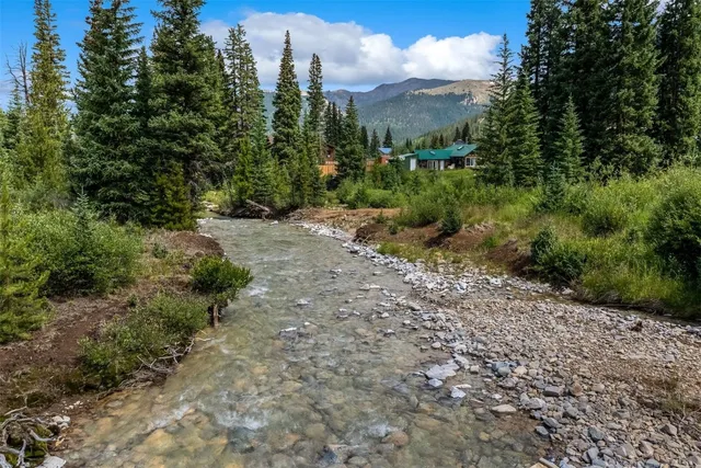 a view of a large trees with green space