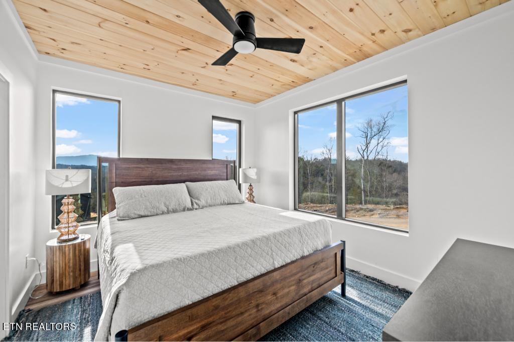 1210 Reedmont Way Sevierville, TN 37876 - Photo 46 of 52 JCM_9519 copy