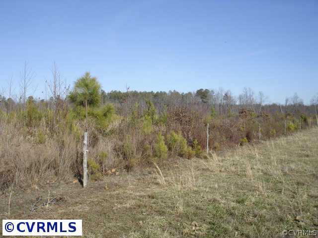 -lot A Ridley Road Carson, VA 23830 - Photo 5 of 6 a view of a field