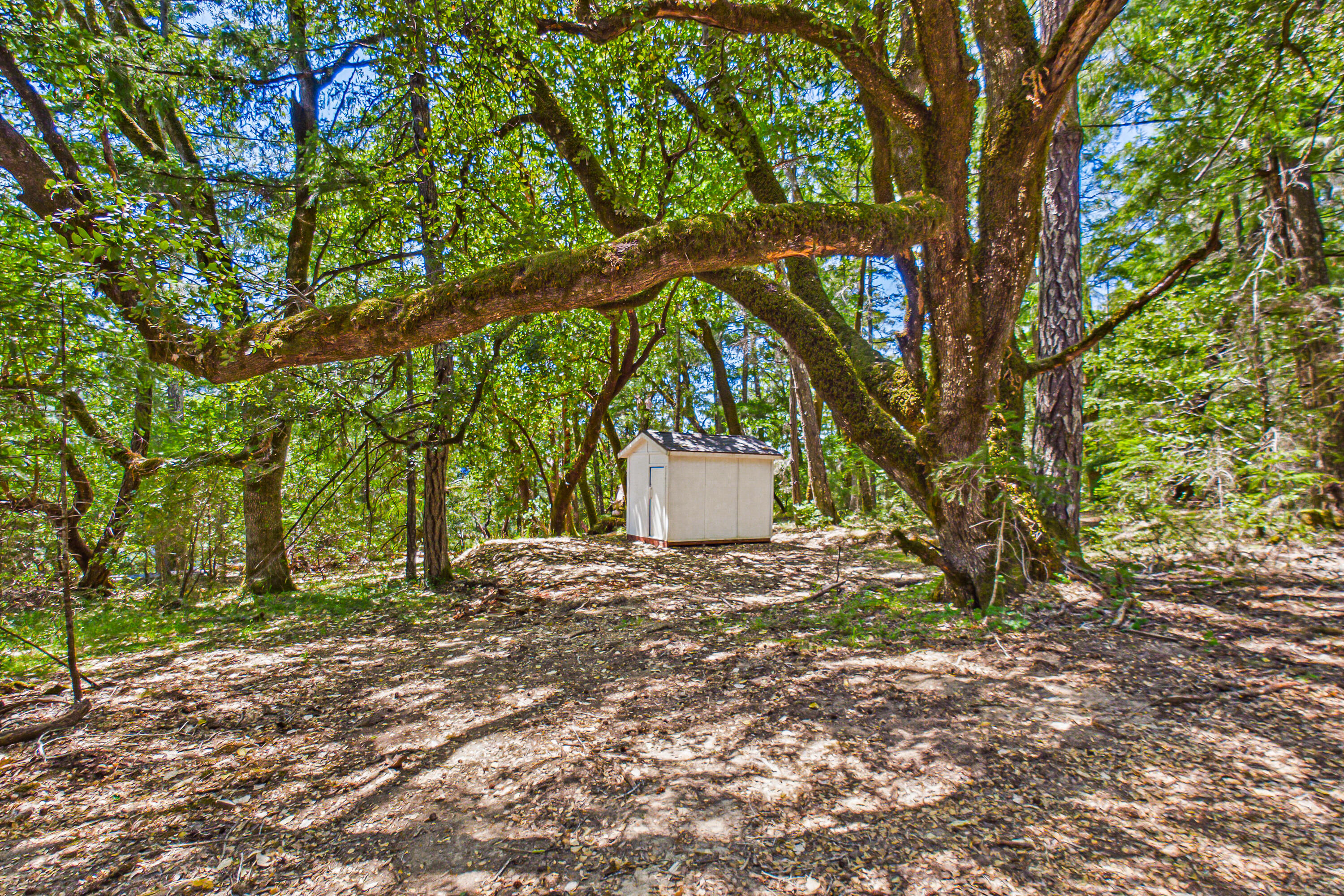 0 Tooby Ranch Road Garberville, CA 95542 - Photo 21 of 81