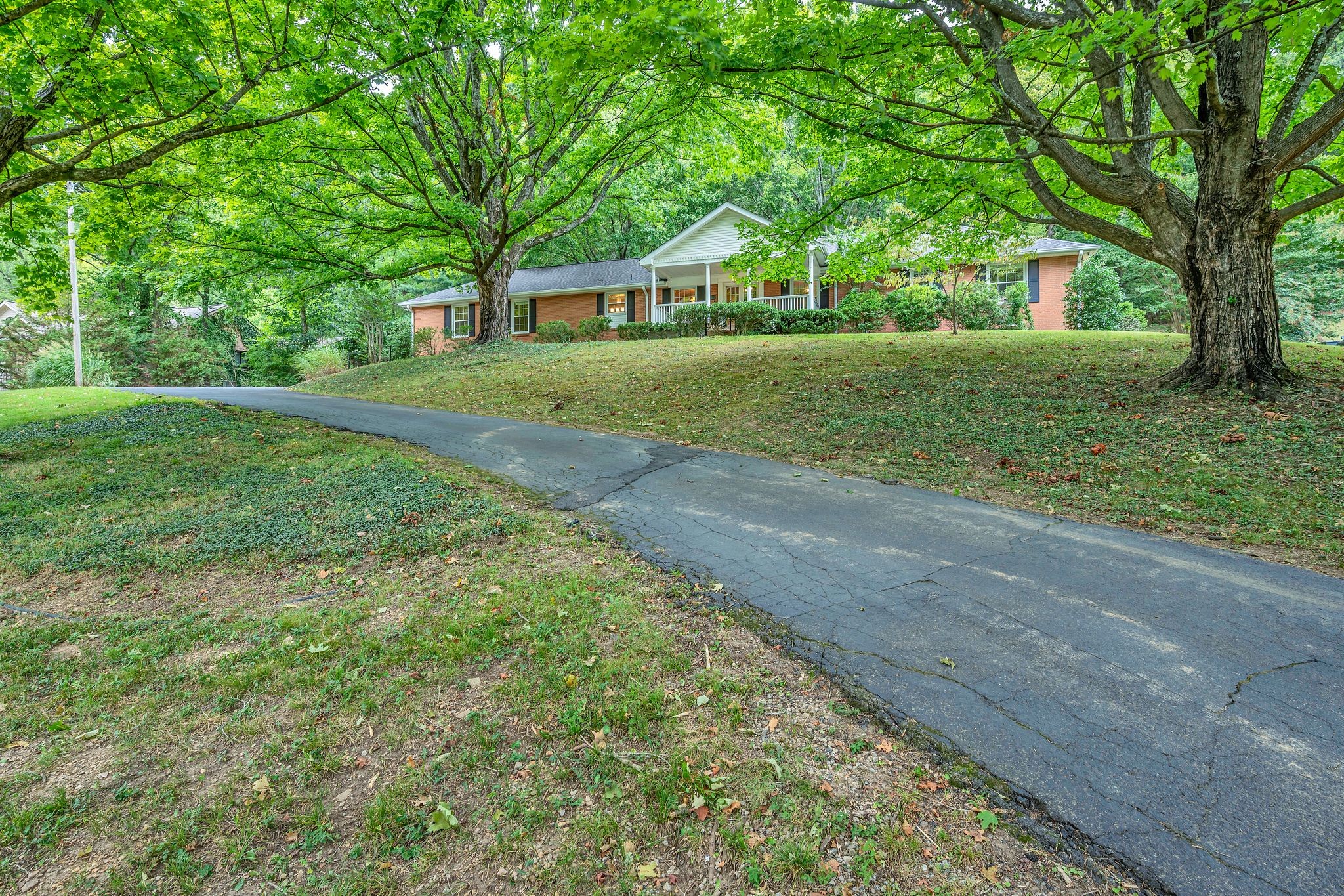 6620 Ellesmere Road Nashville, TN 37205 - Photo 4 of 45 Enjoy the peaceful, park-like setting of this 2-acre property, surrounded by mature shade trees, creating a serene escape.