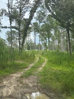 412 Key Drive Edgefield, SC 29824 - Photo 1 of 4