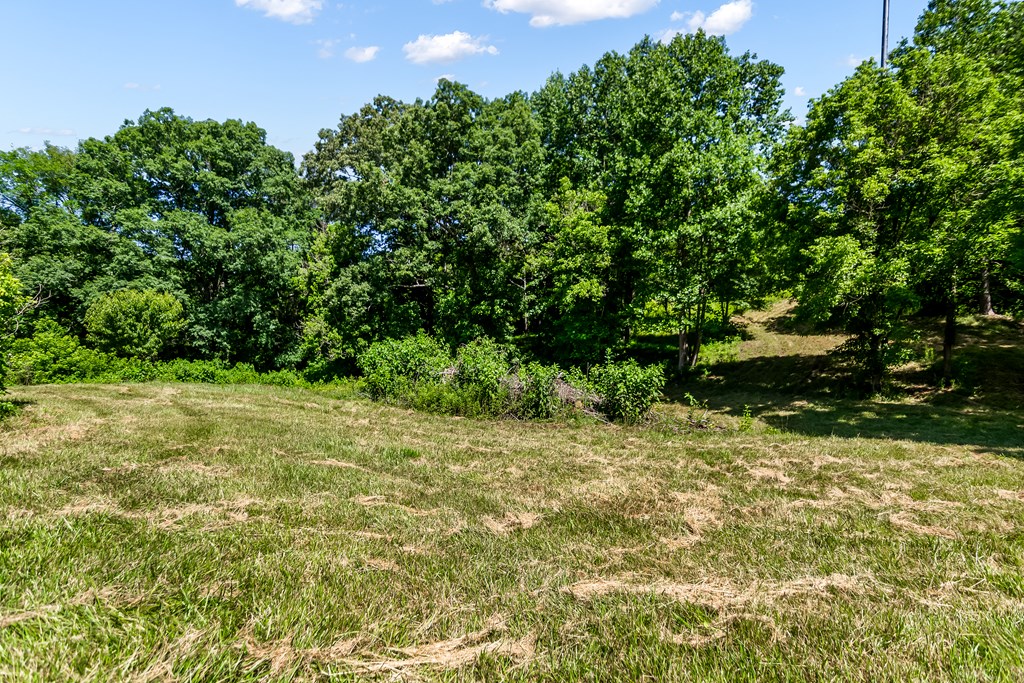 773 Fairview Road Jasper, GA 30143 - Photo 26 of 73