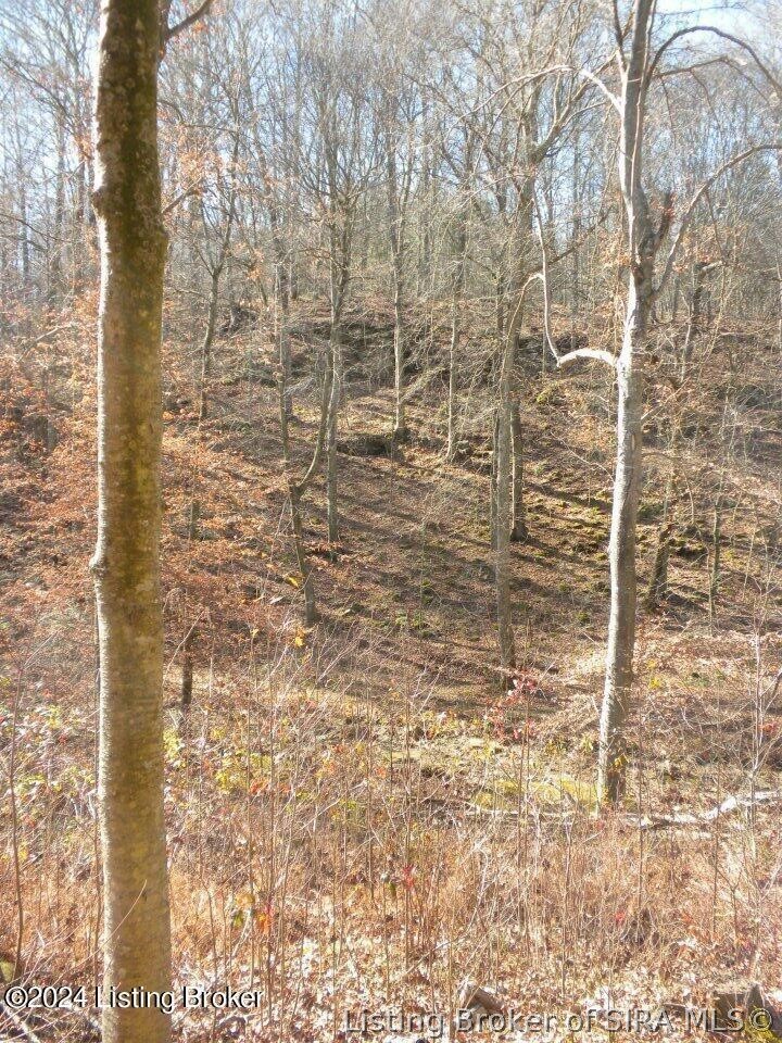 2409 Benleo Road Bowling Green, KY 42101 - Photo 12 of 26 Gallery Image 12