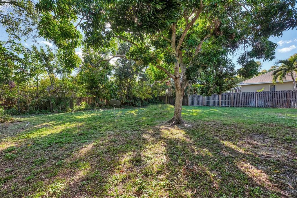 1726 Floyd Street Sarasota, FL 34239 - Photo 38 of 52 a view of a yard with tree s