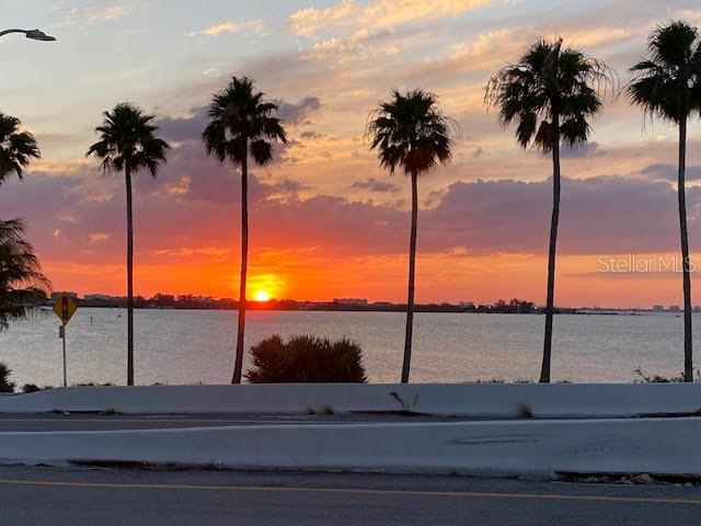 1726 Floyd Street Sarasota, FL 34239 - Photo 52 of 52 a view of ocean with palm trees