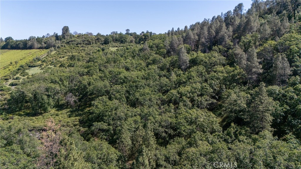 13520 Point Lakeview Road Lower Lake, CA 95457 - Photo 12 of 31