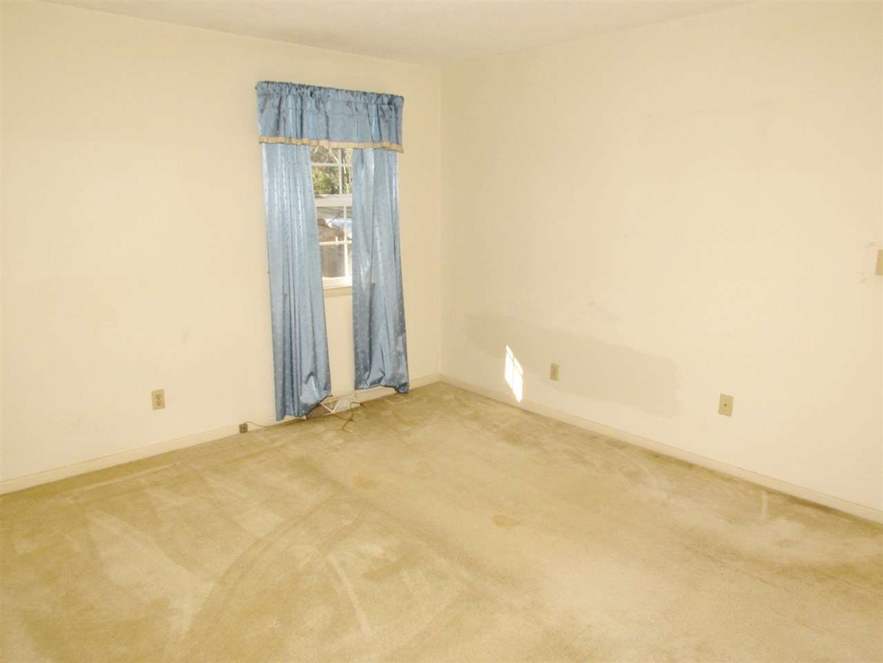 1016 Temple Street Raleigh, NC 27609 - Photo 20 of 30 Photo 20