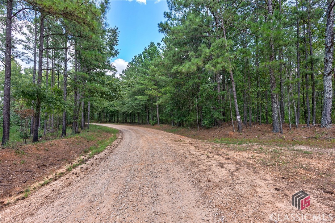 0 Paradise Hogan Road Lexington, GA 30648 - Photo 19 of 38