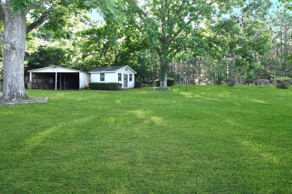 1571 Jr Hendrix Road Hartford, AL 36344 - Photo 6 of 24