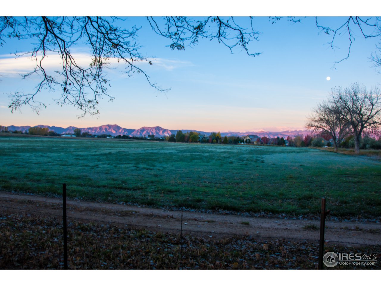9909 Isabelle Road Lafayette, CO 80026 - Photo 14 of 17 a view of a yard