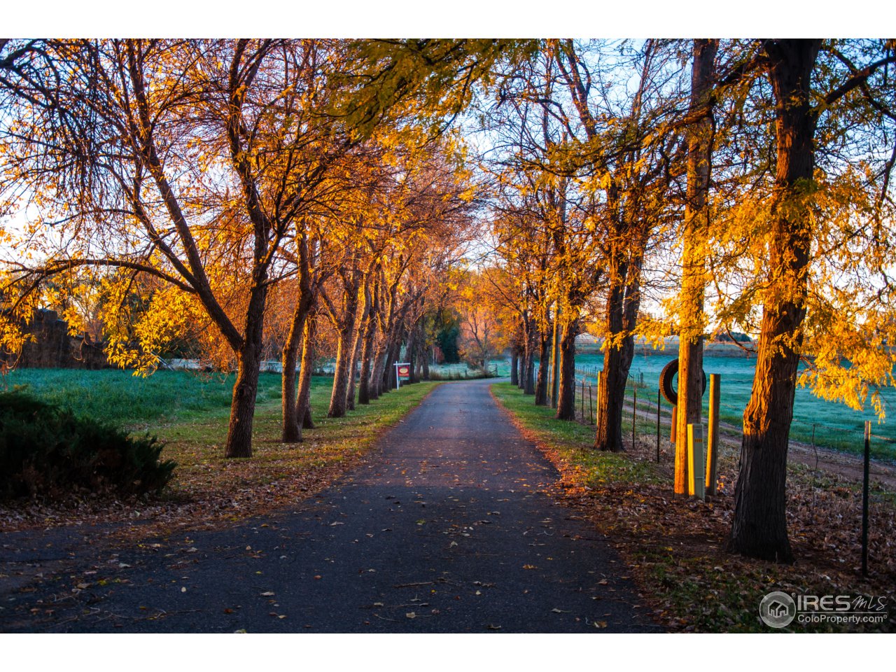 9909 Isabelle Road Lafayette, CO 80026 - Photo 4 of 17 a view of a park with large trees