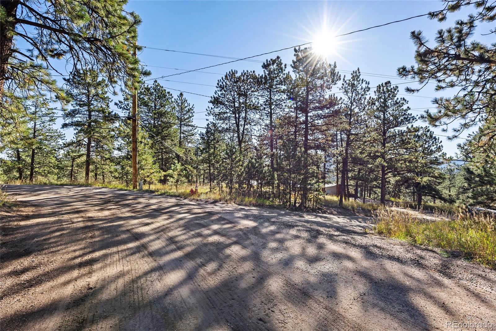 3942 Palo Verde Road Evergreen, CO 80439 - Photo 12 of 41