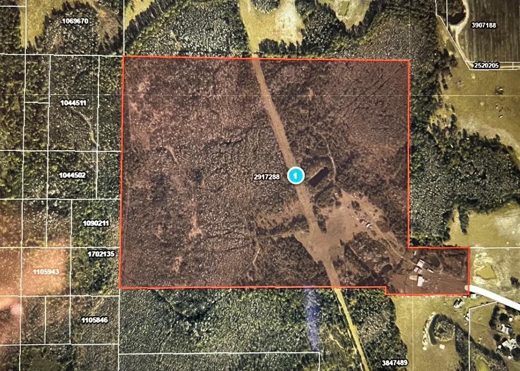 5345 South Fork Ranch Road Clermont, FL 34714 - Photo 26 of 26