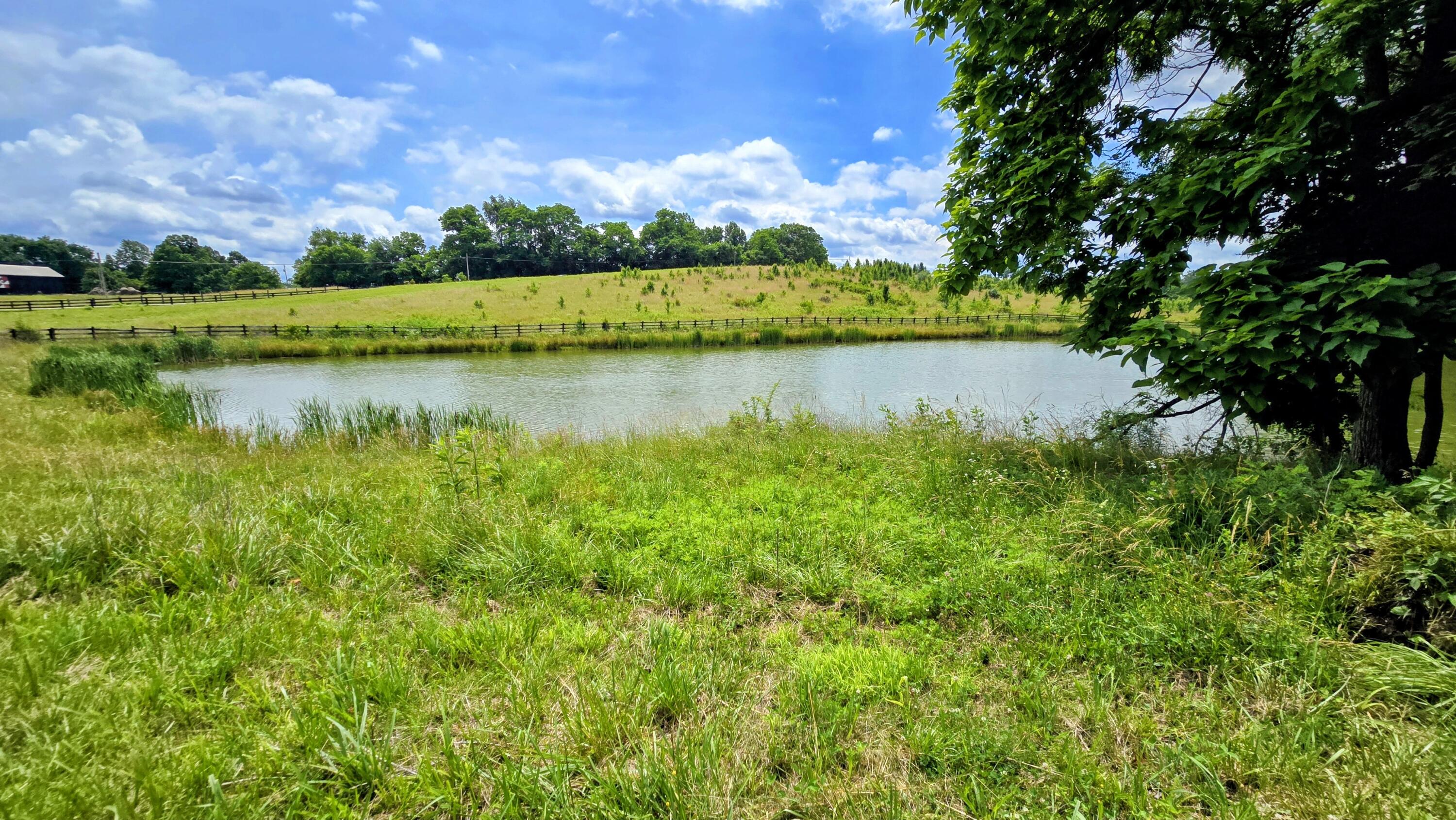 9477 Beechgrove Road Burlington, KY 41005 - Photo 44 of 47 2d (2)