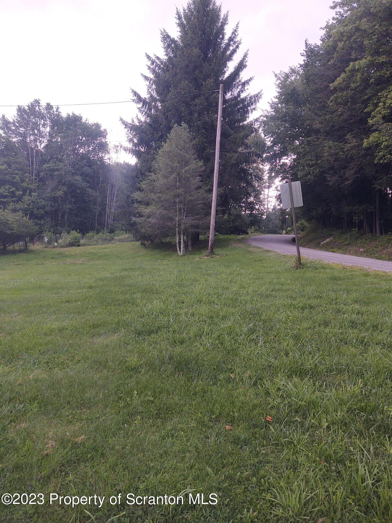 63 Colvin Road Dalton, PA 18414 - Photo 15 of 21 Gallery Image 15