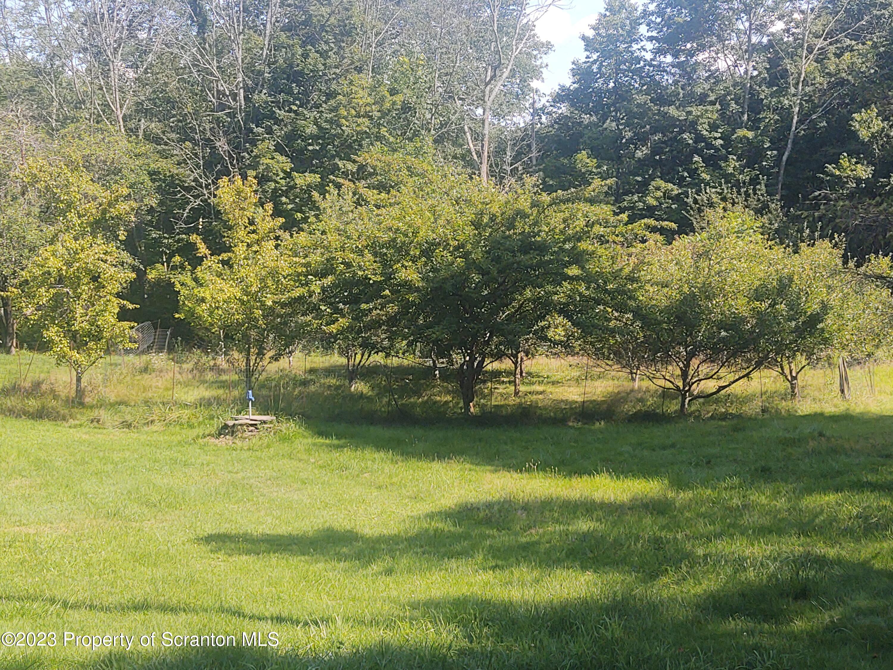 63 Colvin Road Dalton, PA 18414 - Photo 17 of 21 Gallery Image 17