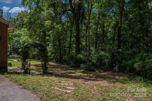 a view of backyard with green space