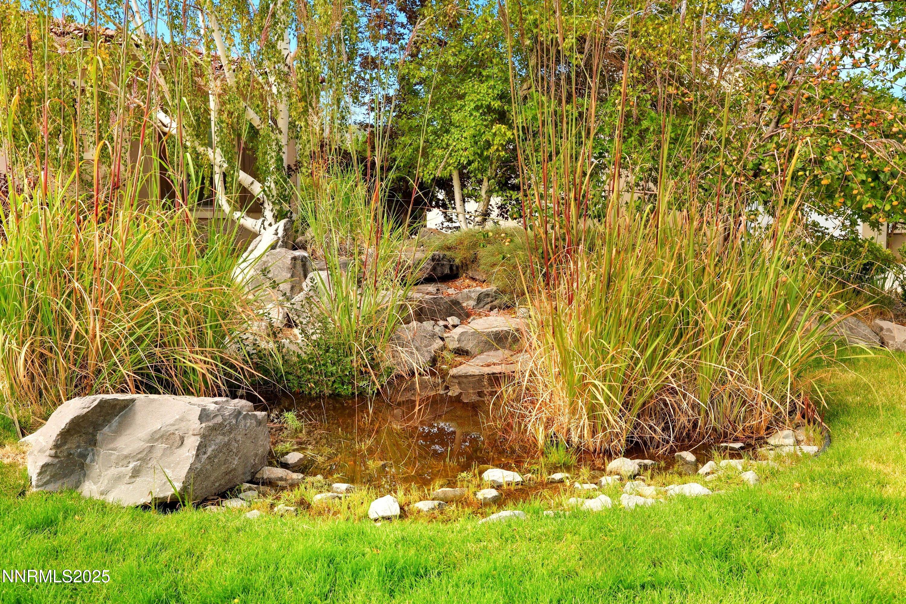 2971 Roundrock Court Reno, NV 89511 - Photo 10 of 32 Front Pond