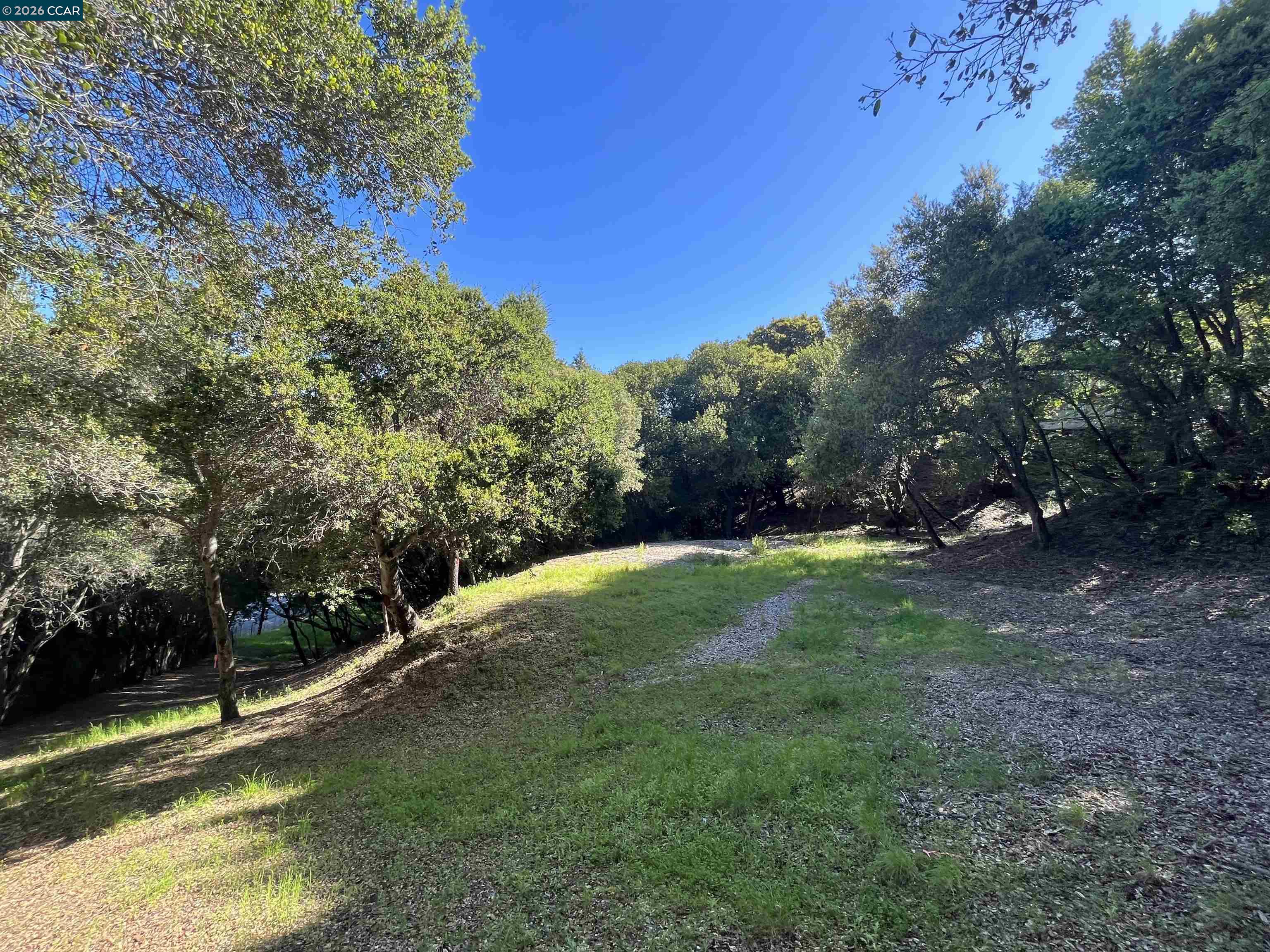 6 Brookwood Road Orinda, CA 94563 - Photo 1 of 8 a view of a backyard with large trees
