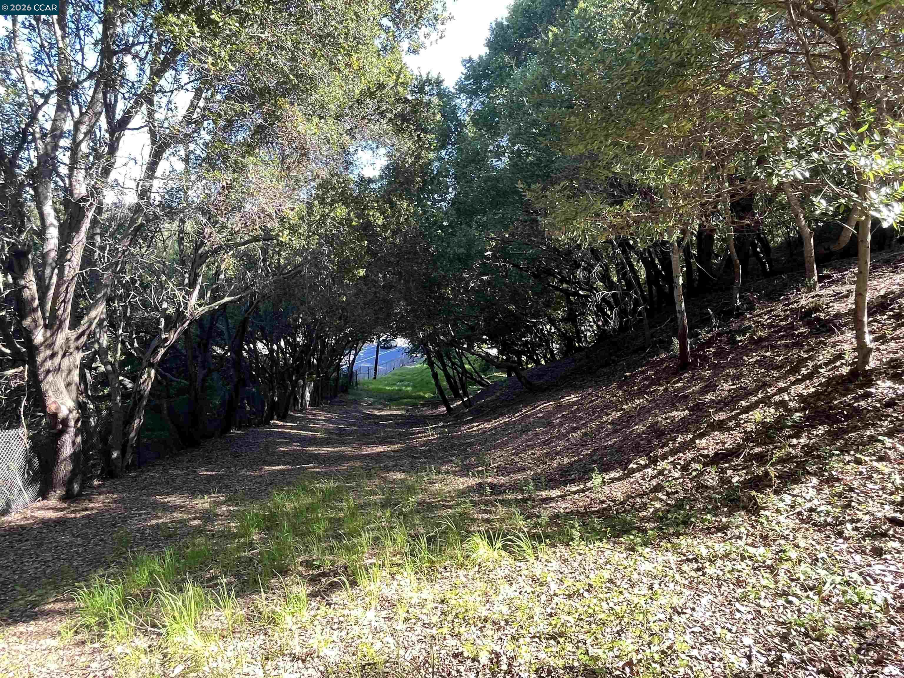 6 Brookwood Road Orinda, CA 94563 - Photo 2 of 8 a view of yard