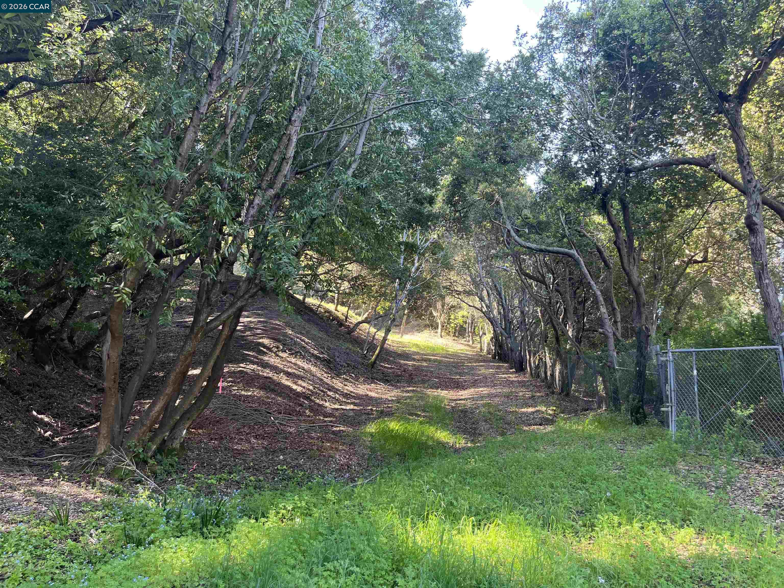 6 Brookwood Road Orinda, CA 94563 - Photo 3 of 8 a view of an outdoor space with a lake view