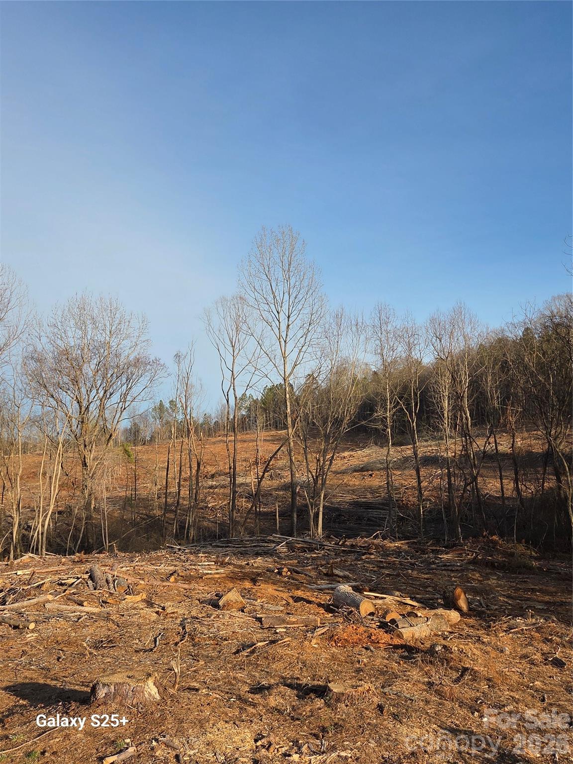 Vacant Land Pole Running Road Mount Pleasant, NC 28124 - Photo 1 of 21 a view of a yard with wooden fence