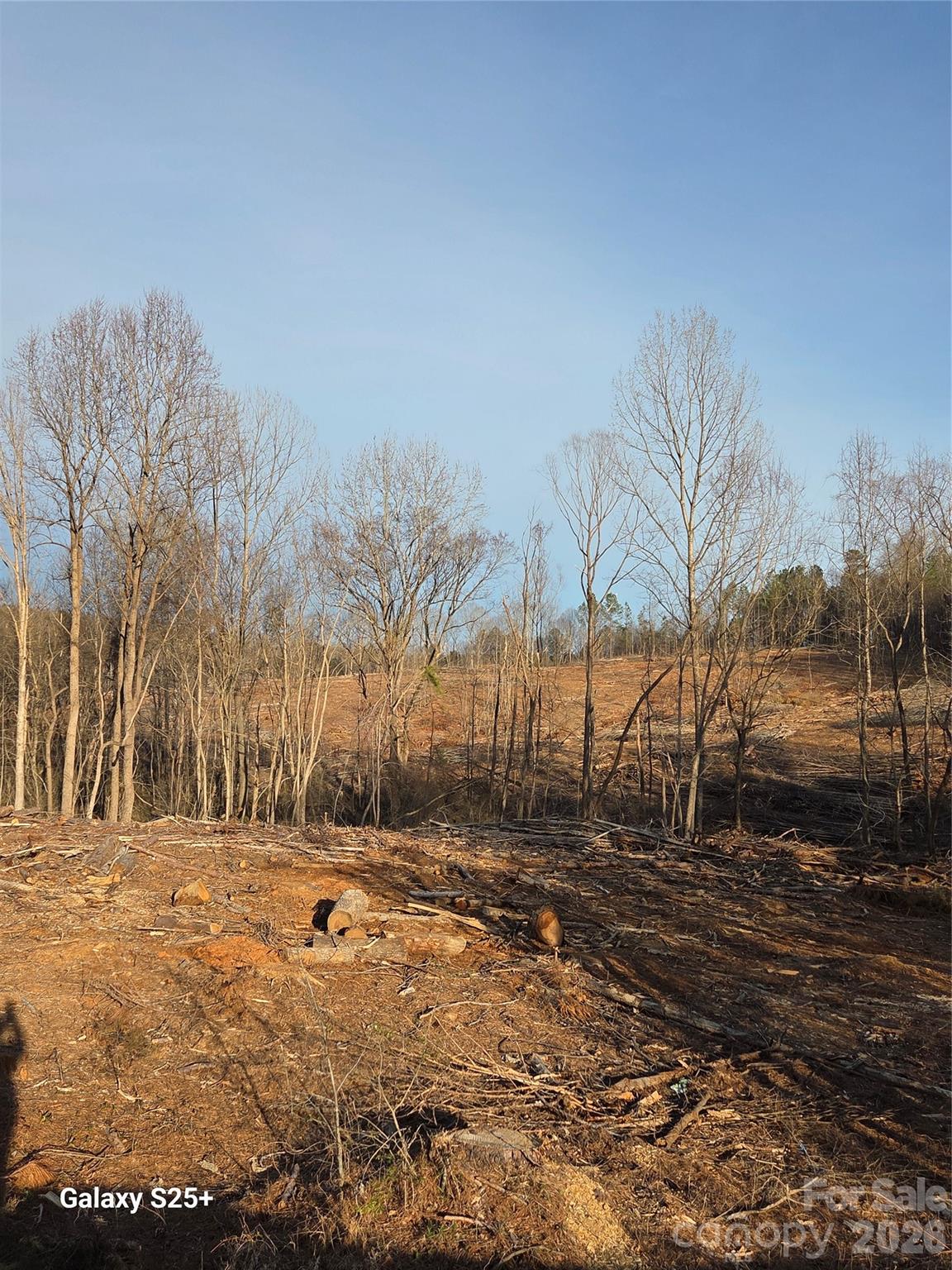 Vacant Land Pole Running Road Mount Pleasant, NC 28124 - Photo 17 of 21 a backyard of a house