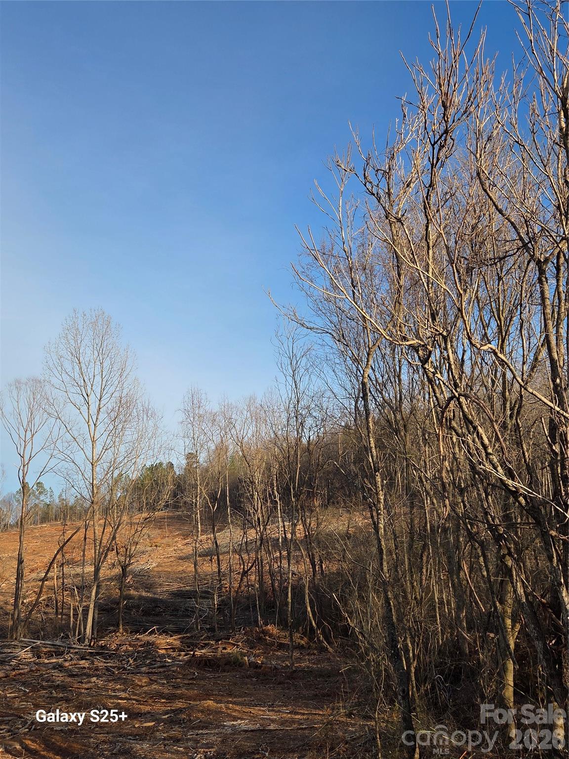 Vacant Land Pole Running Road Mount Pleasant, NC 28124 - Photo 20 of 21 a view of a yard with large trees