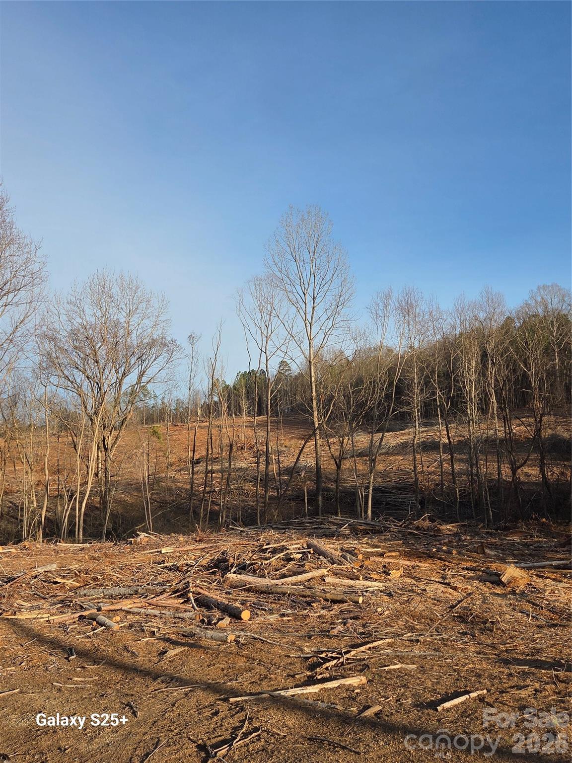 Vacant Land Pole Running Road Mount Pleasant, NC 28124 - Photo 2 of 21 a view of a yard with wooden fence