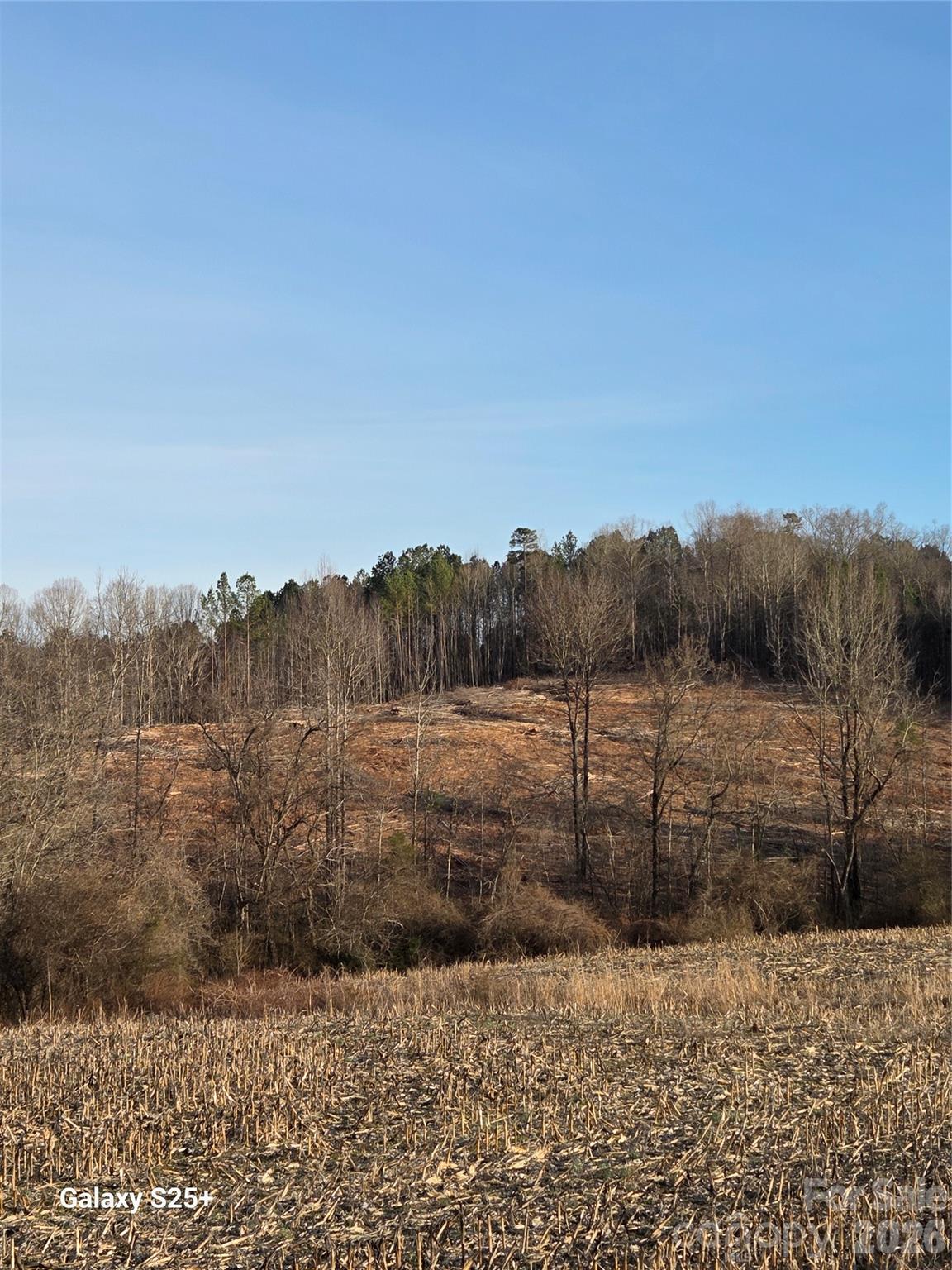 Vacant Land Pole Running Road Mount Pleasant, NC 28124 - Photo 3 of 21 a view of a yard with wooden fence