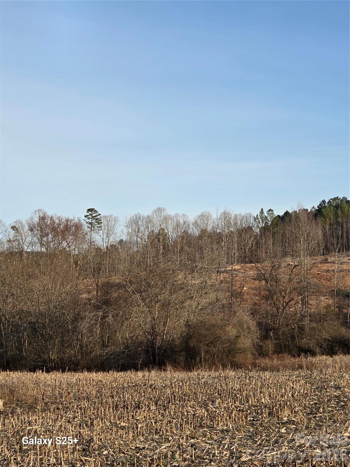 Vacant Land Pole Running Road Mount Pleasant, NC 28124 - Photo 4 of 21 a view of a yard