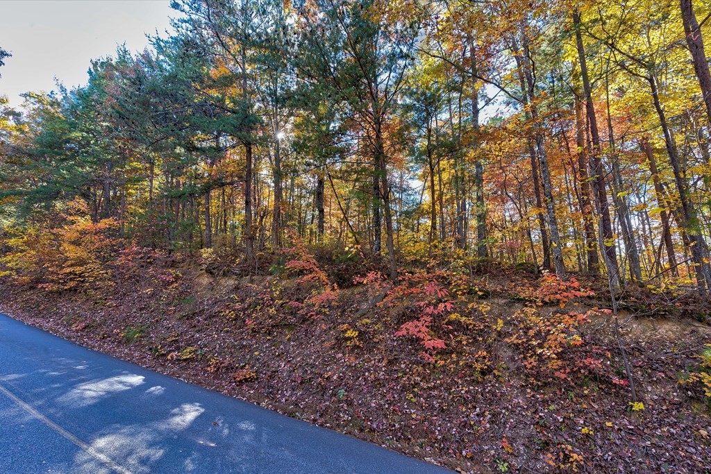 58 Harvest Moon Road Sevierville, TN 37862 - Photo 8 of 18 Gallery Image 8
