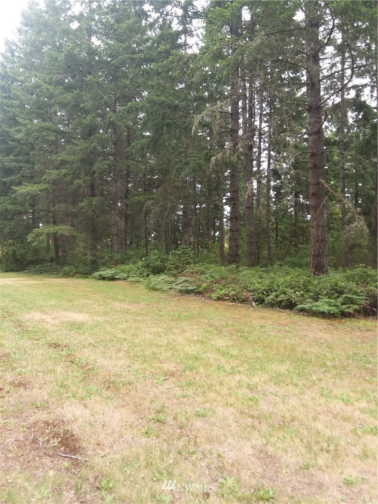 0 Northeast Mast Road Belfair, WA 98528 - Photo 1 of 4 Gallery Image 1